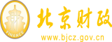 操逼网站入口链接H北京市财政局